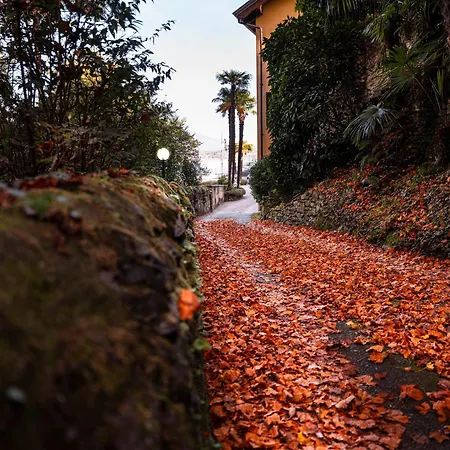 Allgayer - Ancient Dependance Apartman *