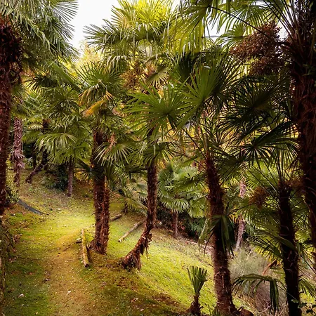 Апартаменты Allgayer - Ancient Dependance Бельджирате